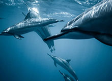 星空之门：xingkong.com引领你的数字宇宙